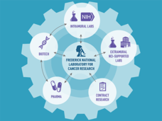 An infographic that has a circle containing “Frederick National Laboratory for Cancer Research” at the center of a large gear. Surrounding the central circle are smaller circles connected by arrows: "Intramural Labs" with an icon of a test tube and NIH logo, "Extramural NCI-Supported Labs" with icons of a test tube and a building, "Contract Research" with an icon of a clipboard, "Pharma" with an icon of pills, and "Biotech" with an icon of a DNA strand.